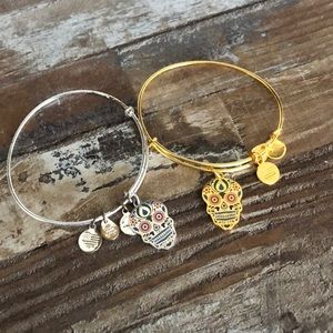 Alex and Ani Skull Bracelet Duo